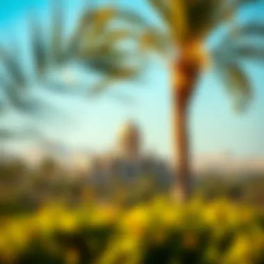 Surrounding landscape of the Al Ameri Building