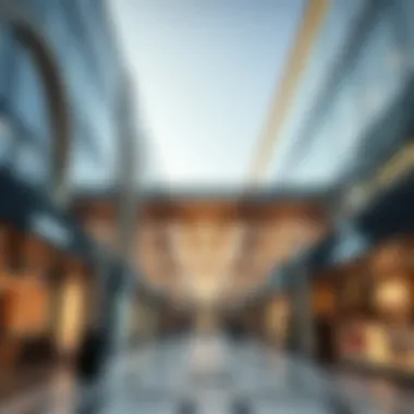 Luxurious shopping street filled with high-end retail stores