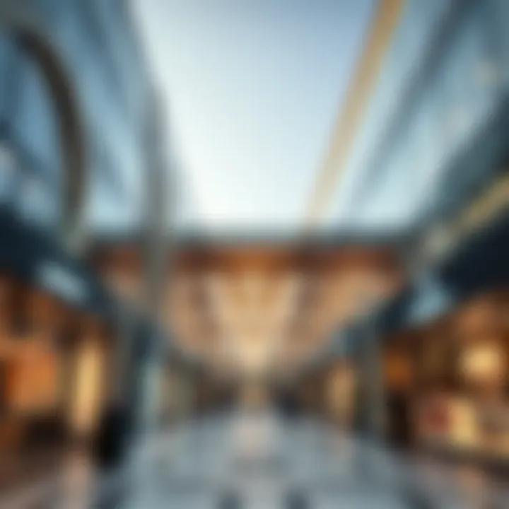 Luxurious shopping street filled with high-end retail stores